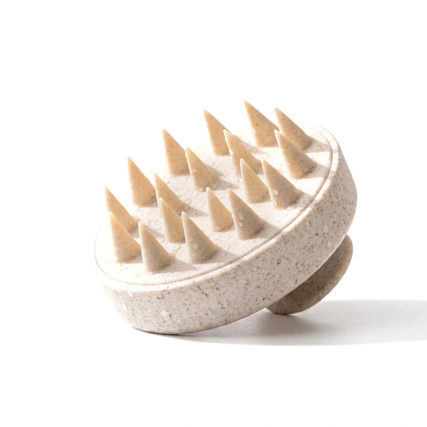 Scalp Brush